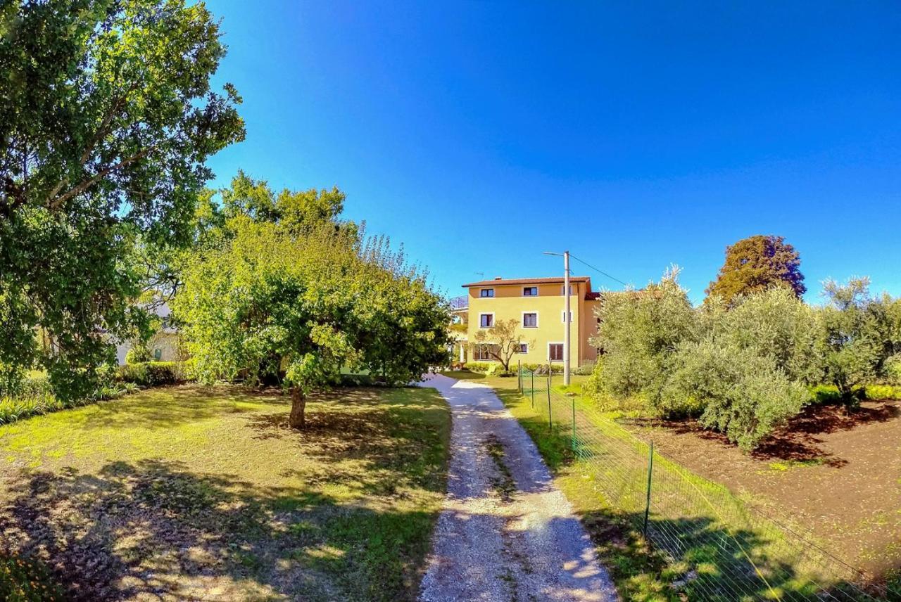 Vižinada Studio Apartment Gianni מראה חיצוני תמונה